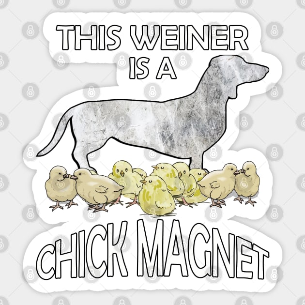 Dachshund Lover Cute Funny Doxie Quote This Weiner Is A Chick Magnet Sticker by tamdevo1